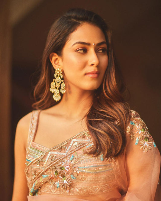 Jet Gems: The Go-To Fine Jeweller for Bollywood Celebrities